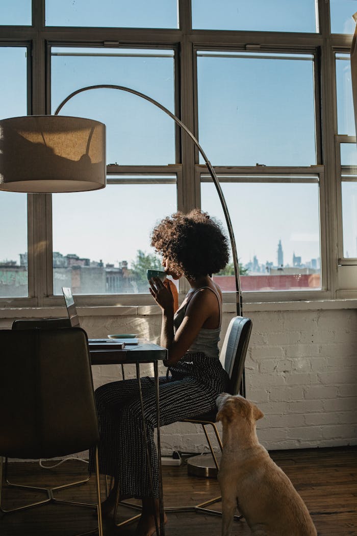 Woman working on a laptop by the window with her dog. Bright, modern home office setting.